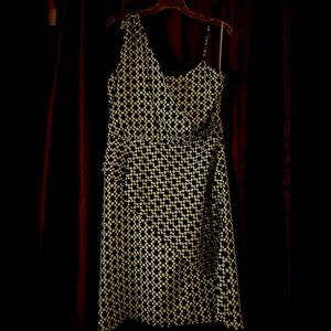 Banana Republic cocktail dress. Size 12 petite. Blue and white. Never worn.